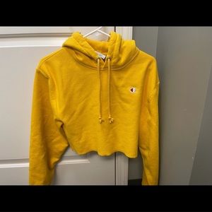 Champion Crop Hoodie